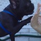 Mi Jimbo chocandome la mano